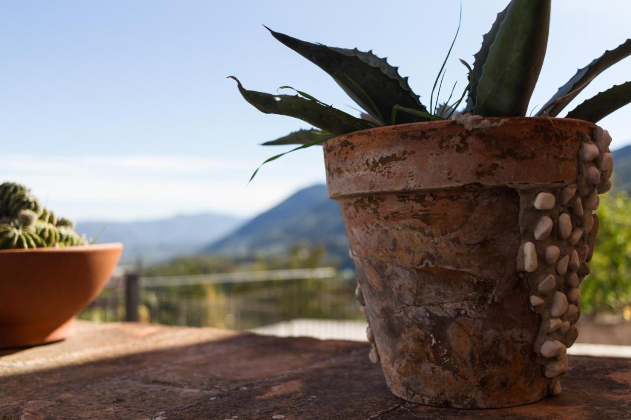 Montanari Agrivillage Narni Exteriör bild